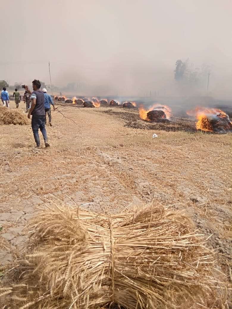 Fire caused by electric sparking wreaked havoc, 20 acres of standing wheat crop of a dozen farmers ashes