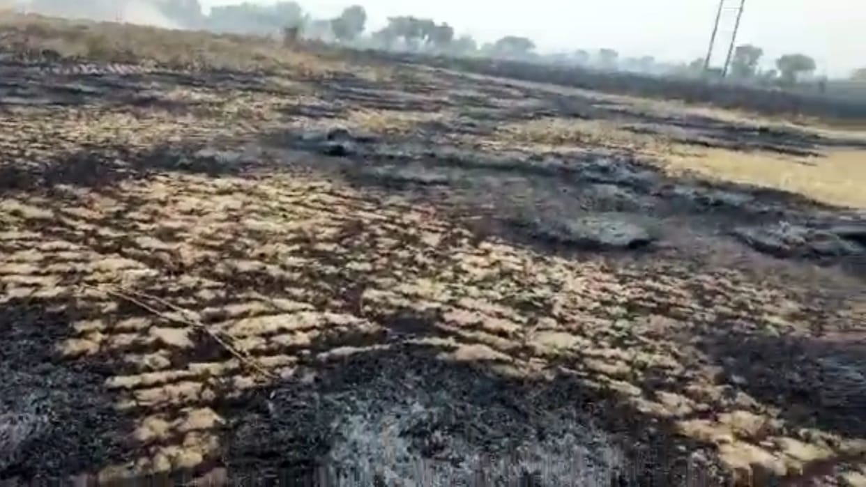 48 acres of wheat crop burnt in Ghuskani and Tigdana villages of Bhiwani