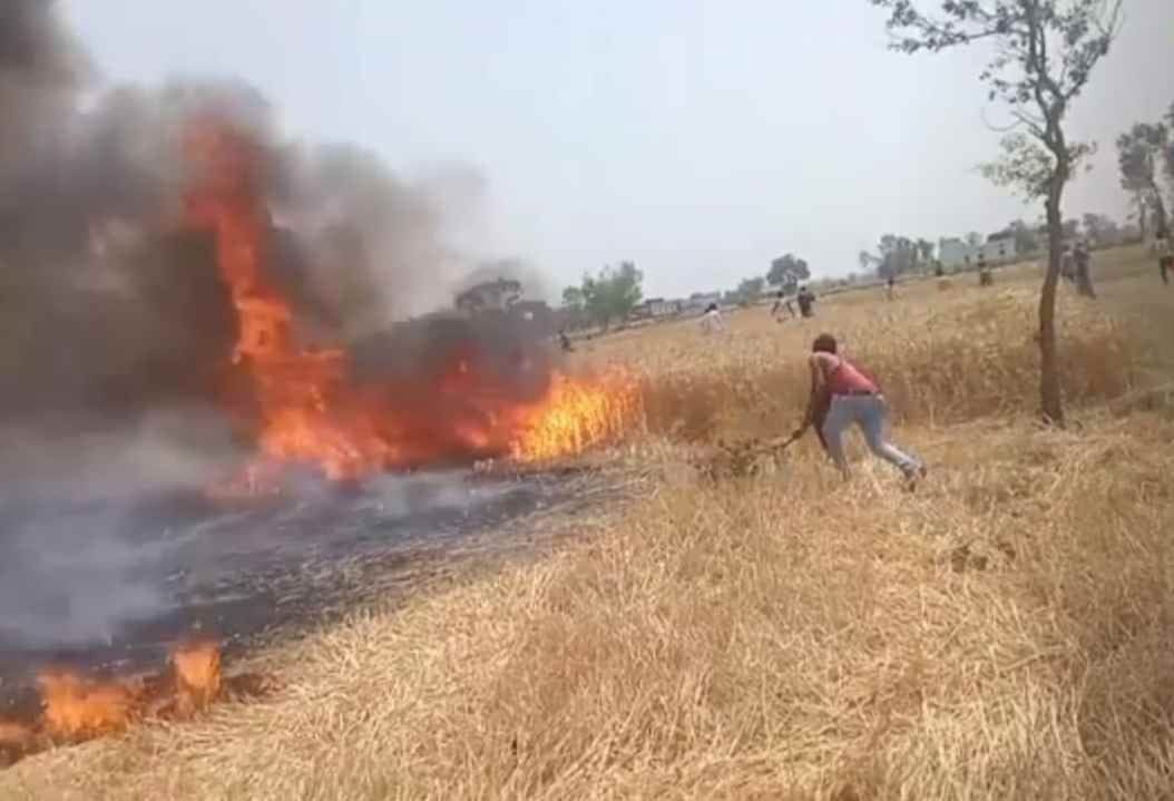 fire on wheat crop
