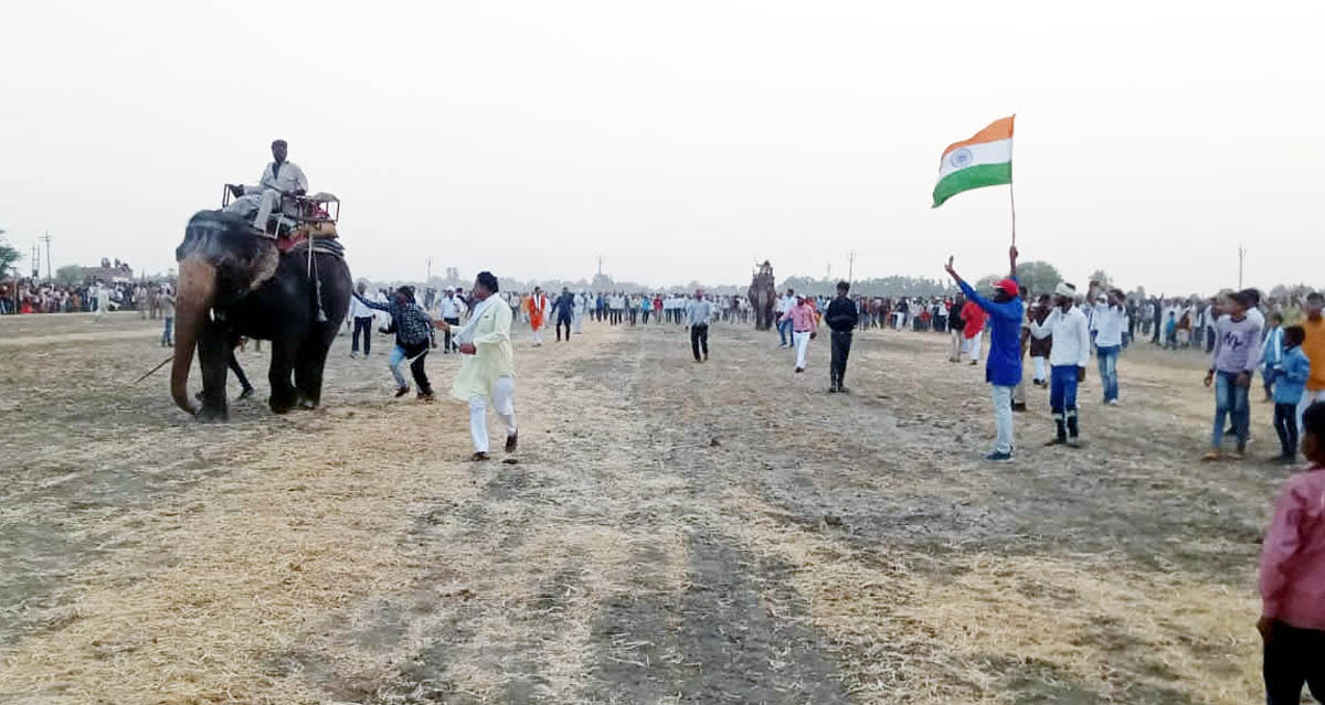 Horses, elephants and bullock carts race in Bhakhari