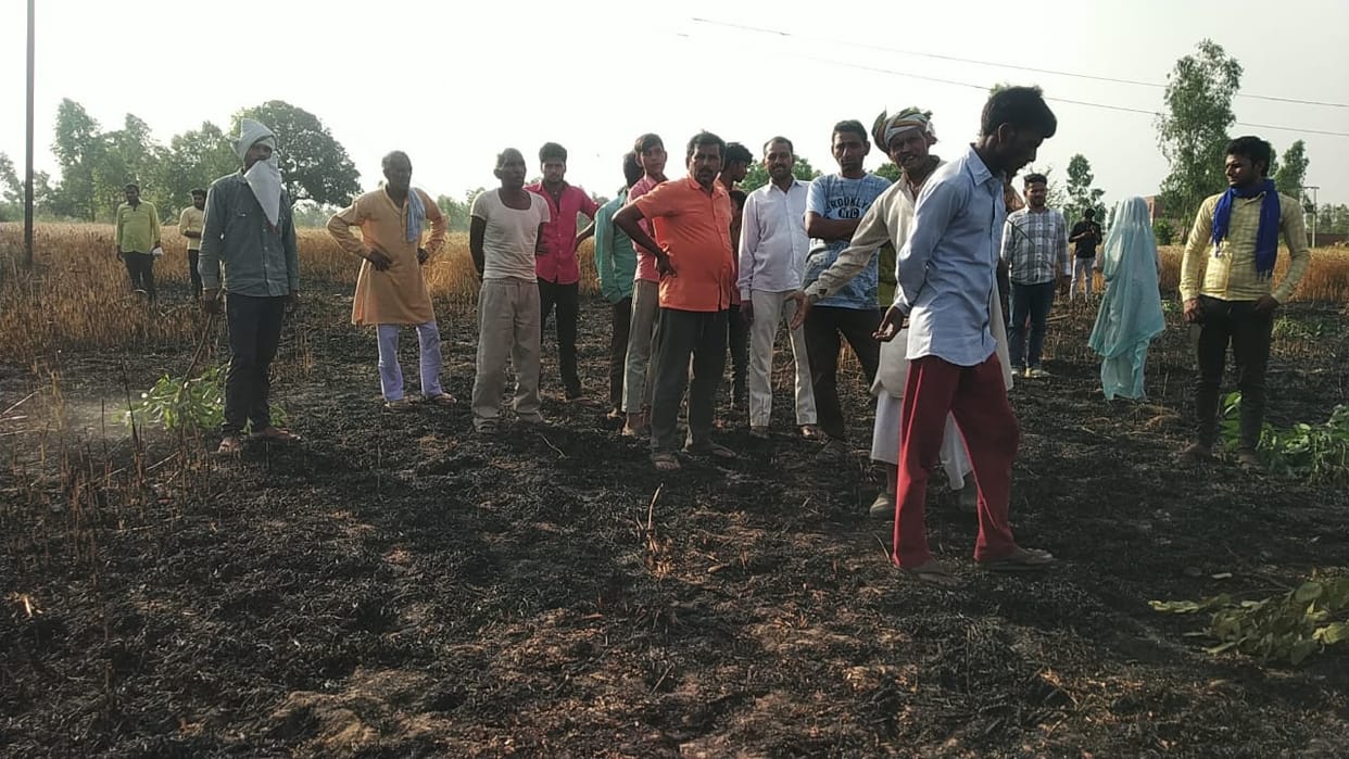 About 8 bighas of wheat crop burnt due to negligence of electricity department