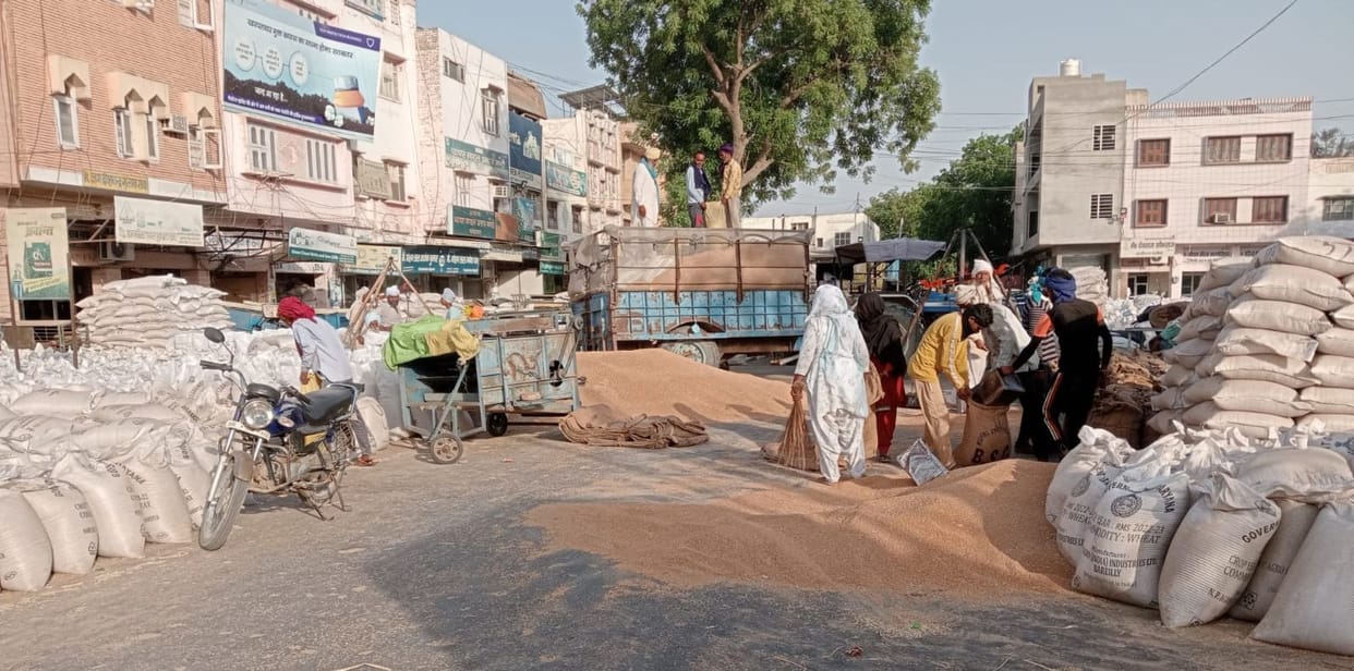 Wheat lined market from roads to pavements, uplift 32 percent