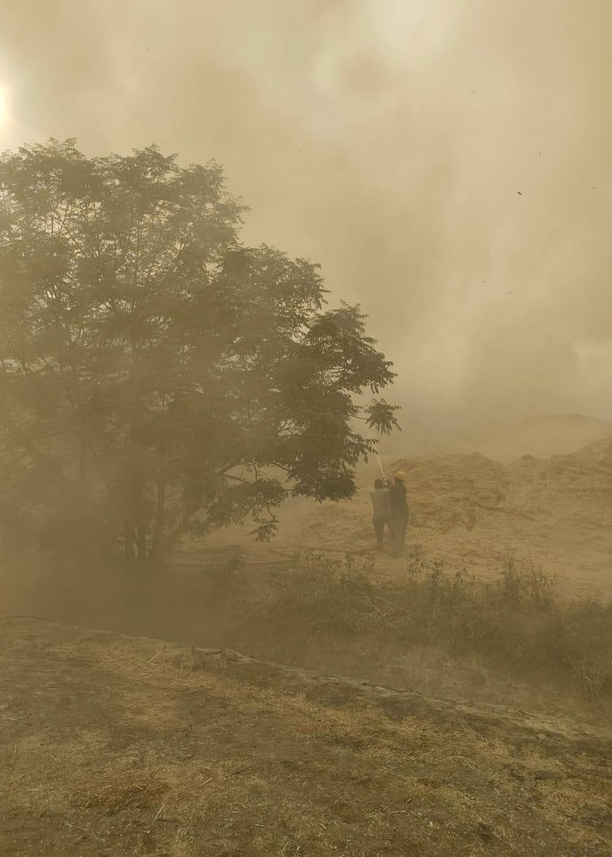 Fire breaks out in stubble stock of Sanson Paper Industries, loss of 80 lakhs