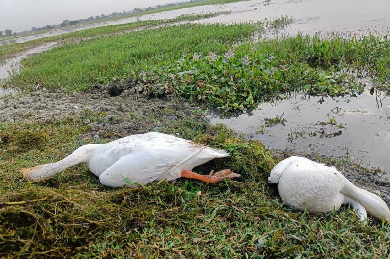 kannauj,kannauj news