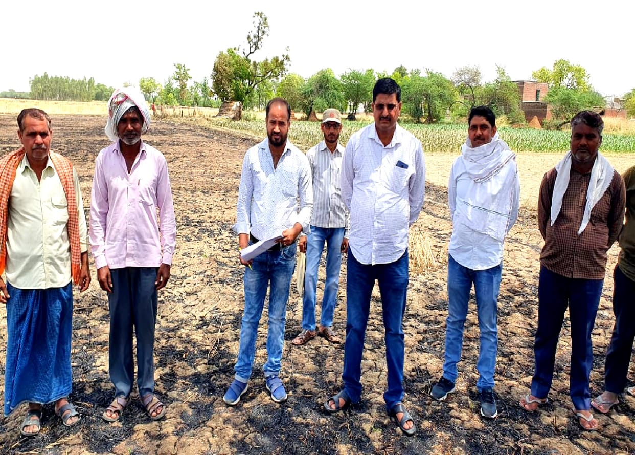 20 bighas of wheat crop burnt to ashes due to fire in etawah