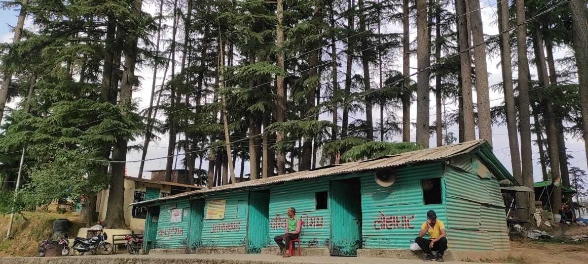 Danger of Tree in Roadways Depot Lohaghat