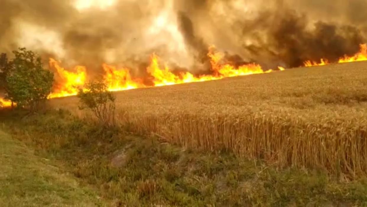 Massive fire broken out in wheat crop at maharajganj
