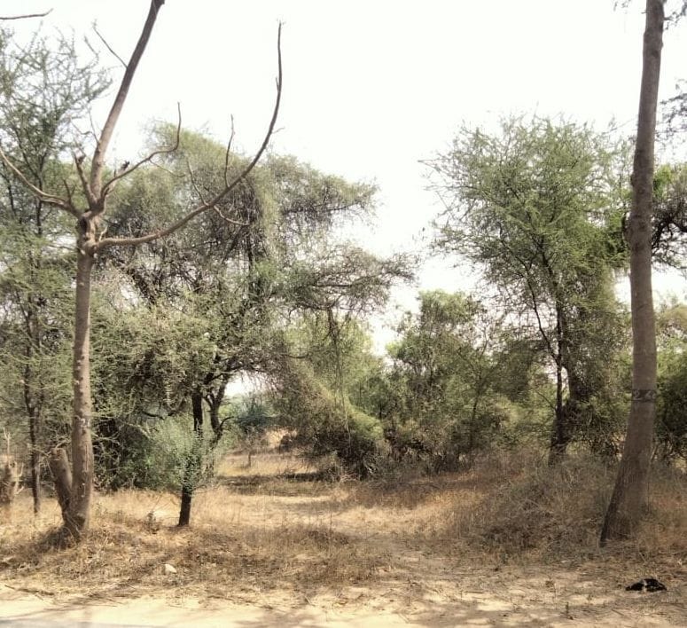 Electricity corporation has decided the place for three power sub-stations