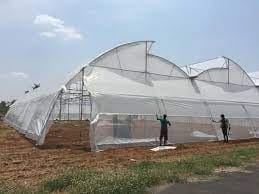 Polyhouse Scheme in Haldwani