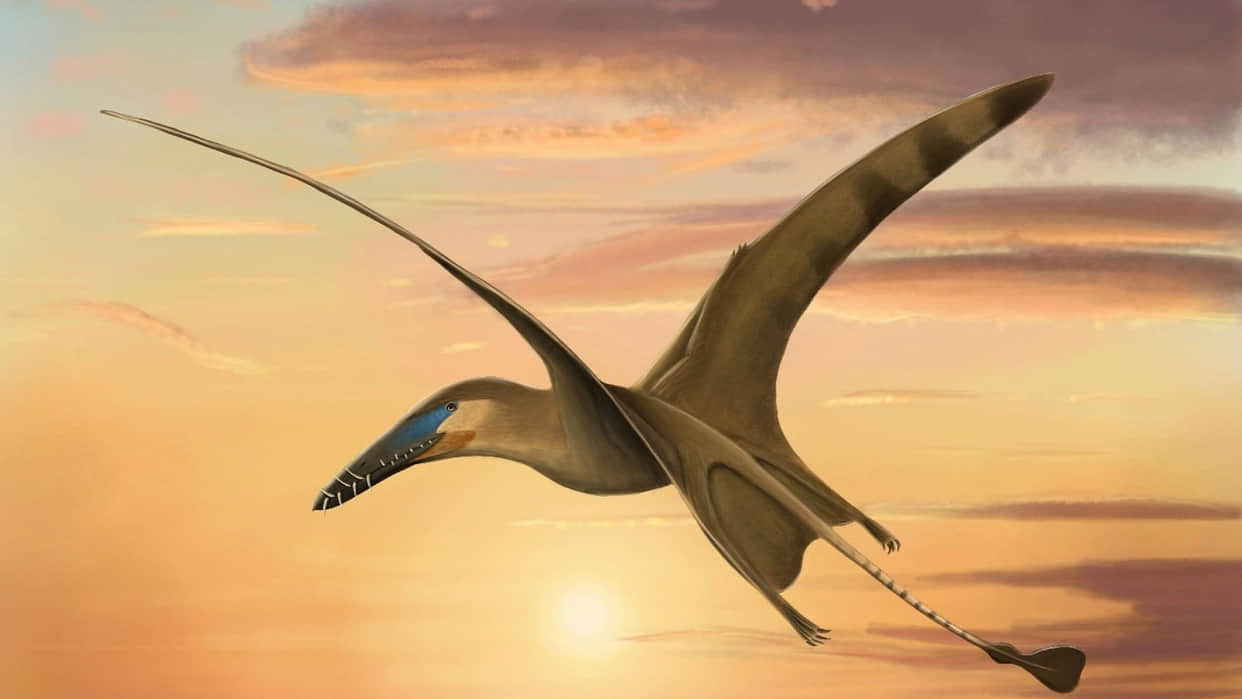 Pterosaur Skeleton Found in Britain Dangerous Hunter Ruled In Sky Million Years Ago News in Hindi