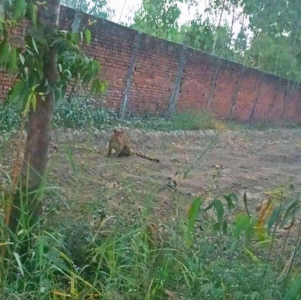 Crime