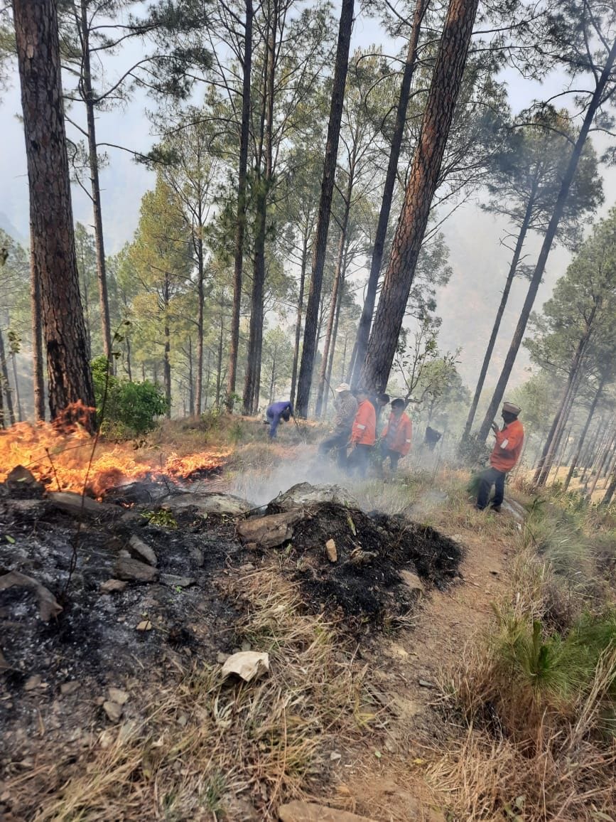 The fire reached the cowshed in Khal village