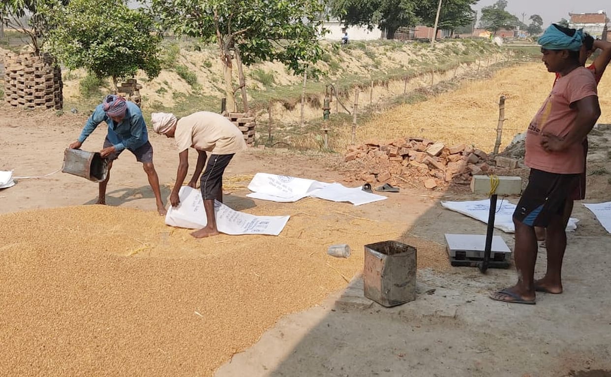 Wheat procurement: Private companies have their eyes on UP, government reduced the quota of private storage, o