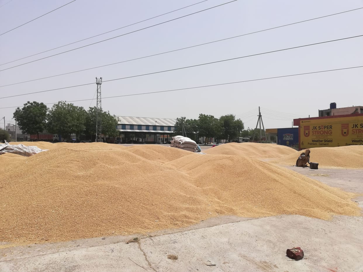 Wheat was purchased at only three out of eight centers, 67 farmers sold the produce