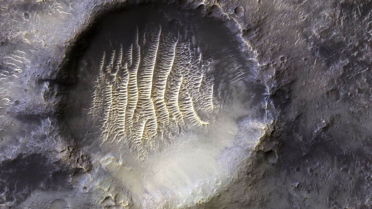 Alien Footprint On Mars See NASA Shared Shocking Photos News In Hindi