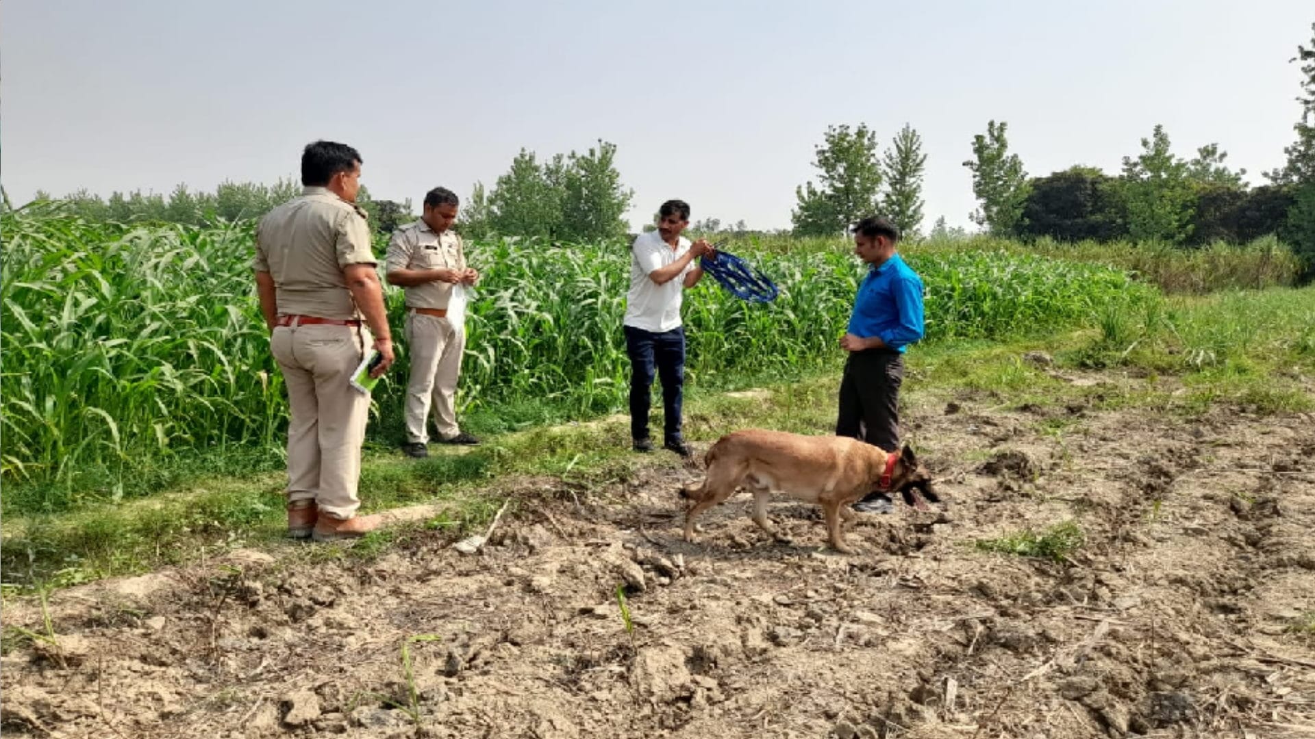 Teenager murder in Meerut : fourteen year old teenager murder for not giving sisters number, two arrested
