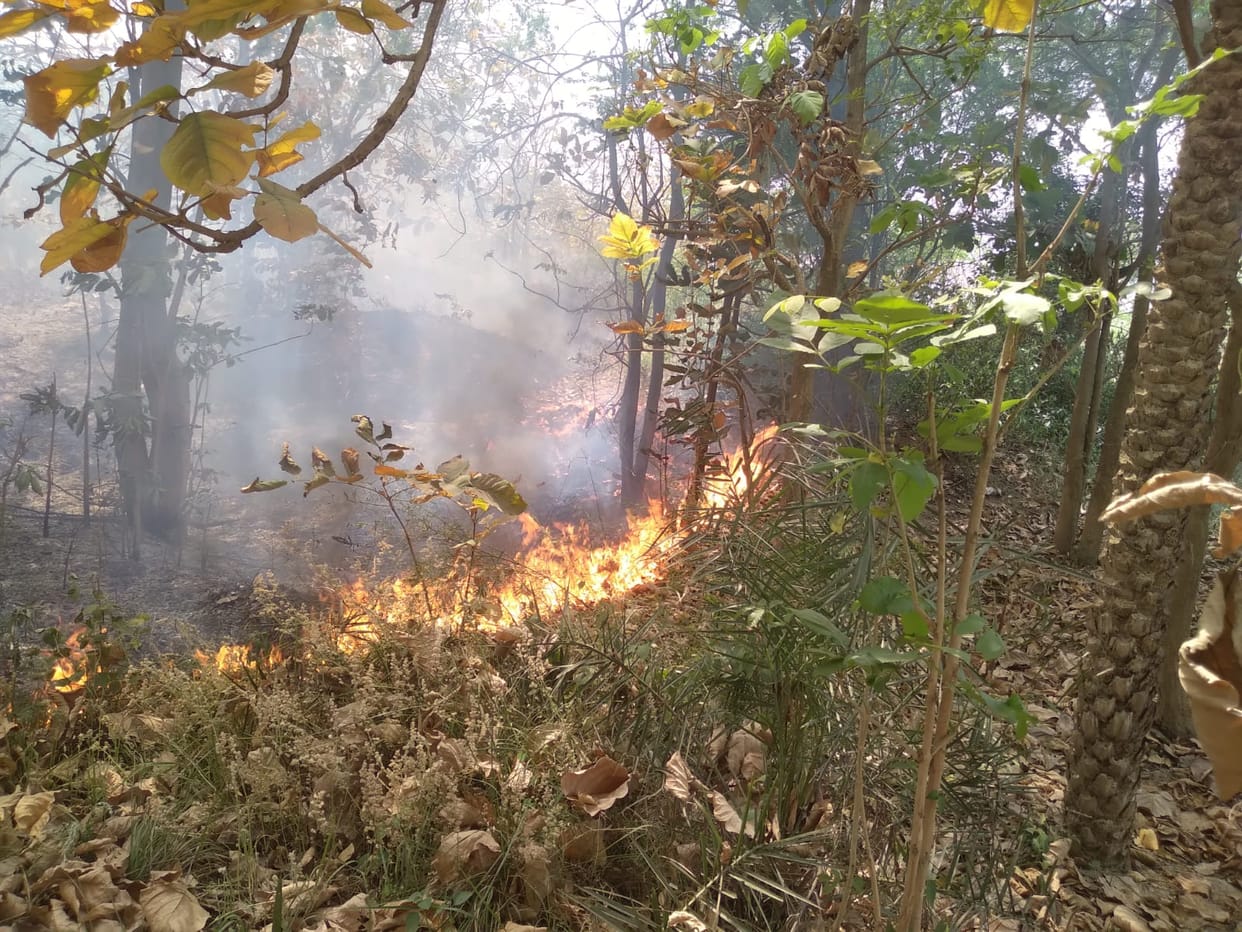 The fire engine could not reach, the forest kept burning for five hours