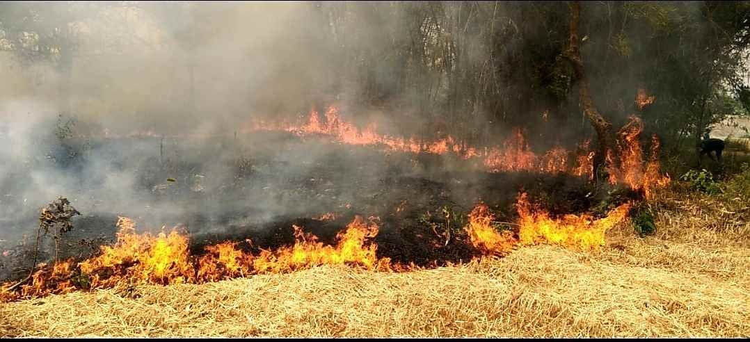 fire on crop