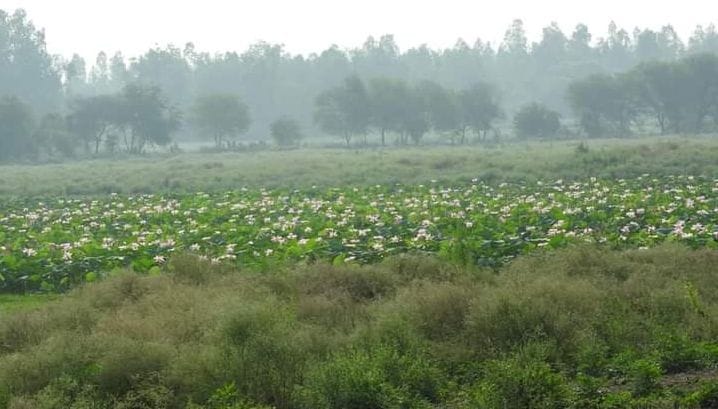 hardoi news,Sandi's Dahar Lake is thirsty even after spending lakhs