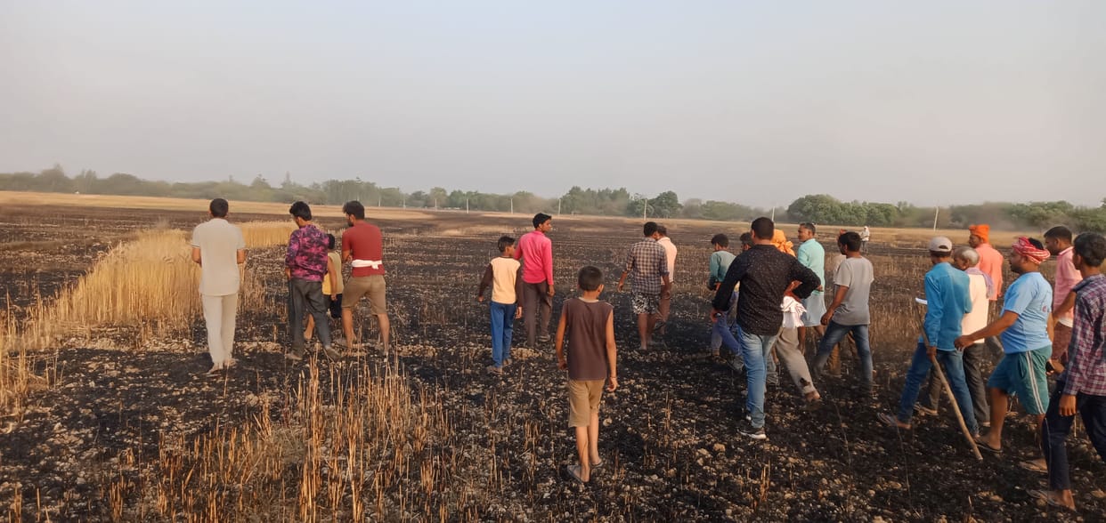 fire,crop,wheat