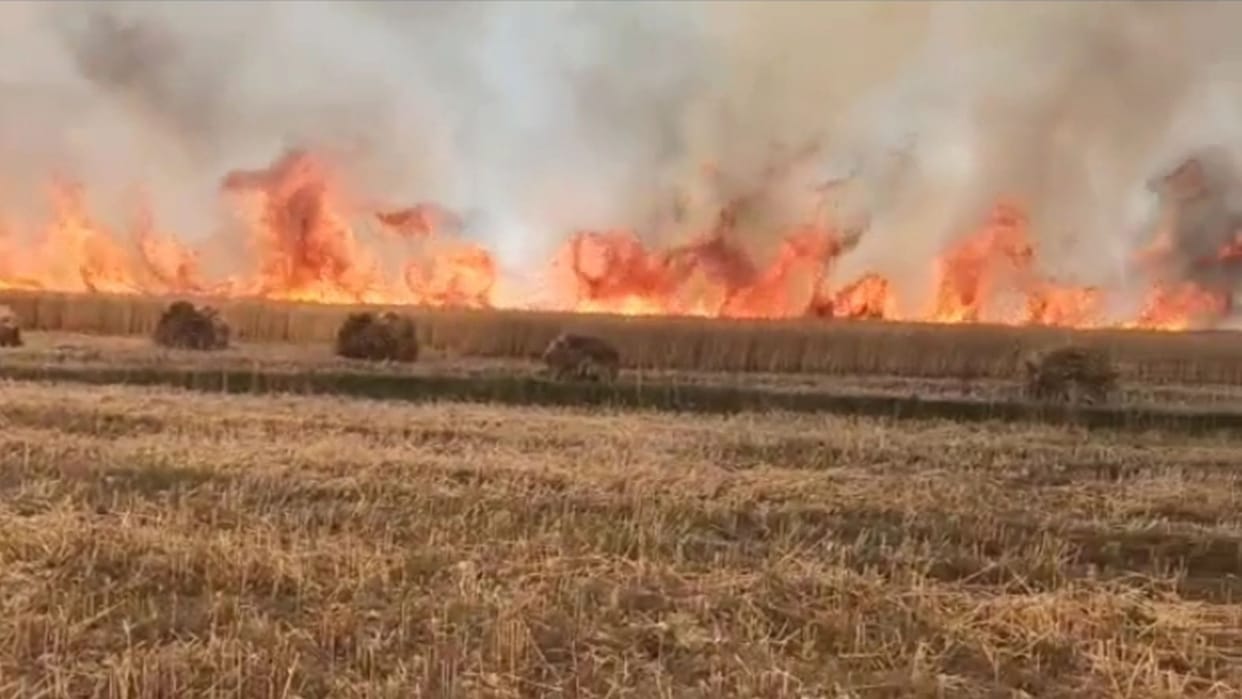 26 bighas of wheat crop burnt due to spark falling due to collision of stars