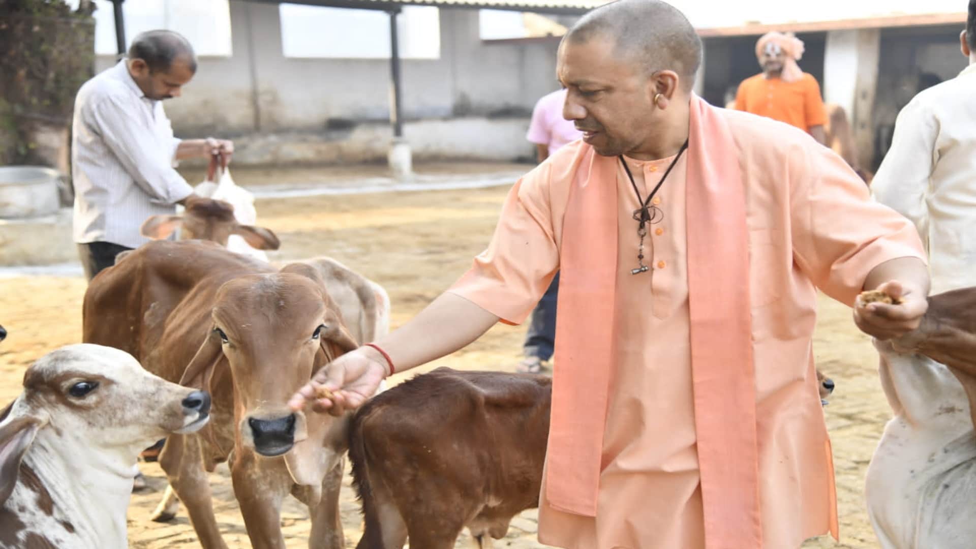 UP Election 2022 BJP MPs cheating on party in assembly elections