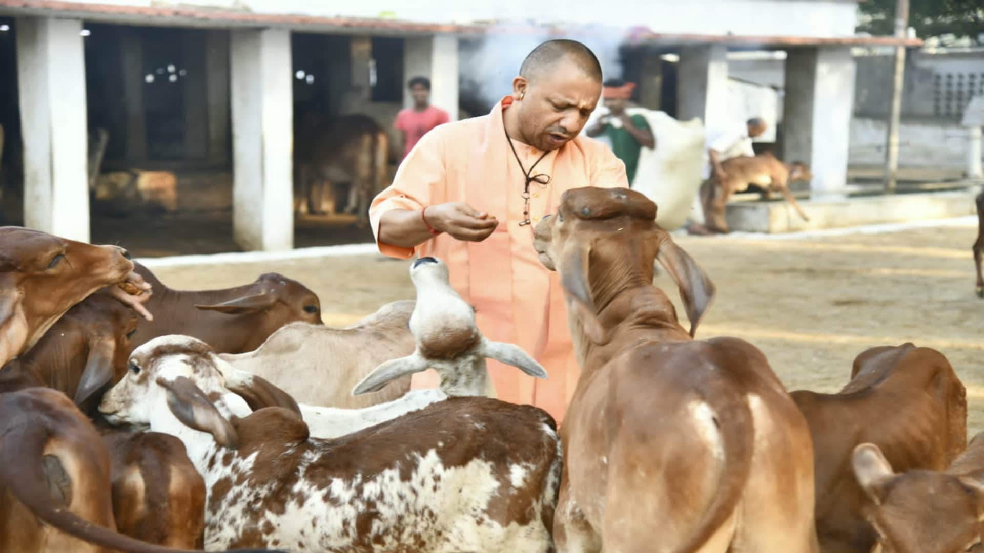 cm yogi janta Darbar in Gorakhnath Mandir gorakhpur