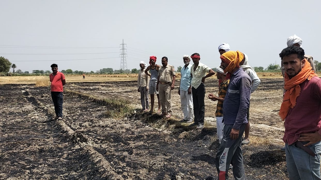 12 bighas of wheat crop burnt due to fire