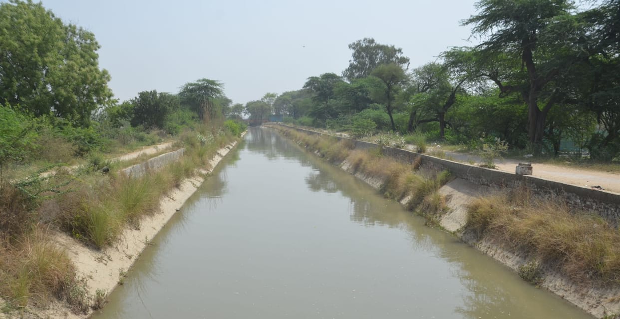 Now IIT Roorkee will prepare the drawing of the restoration of Loharu Canal