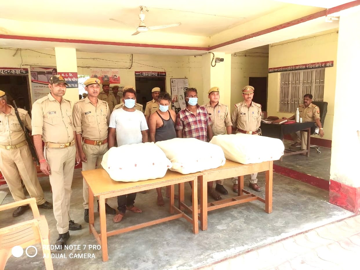 UP STF caught 80 lakhs ganja in fatehpur, three smugglers arrested