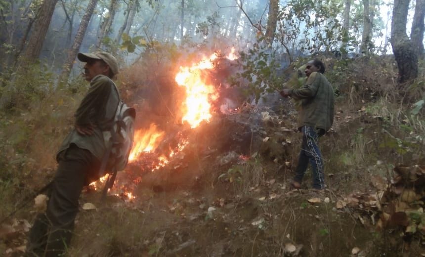 Fire in the forest of Chelusain Beet of Lansdowne