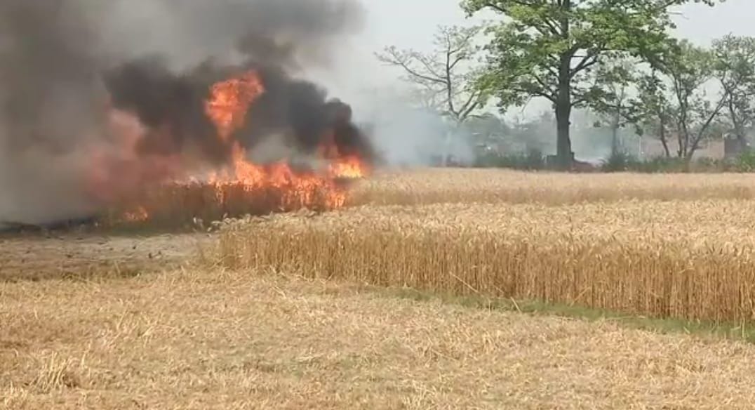 Fire broke out in teak garden, wheat was also destroyed by burning