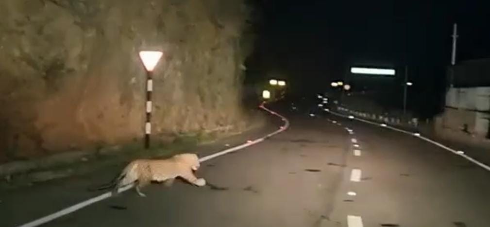 Guldar's walk caught on CCTV camera