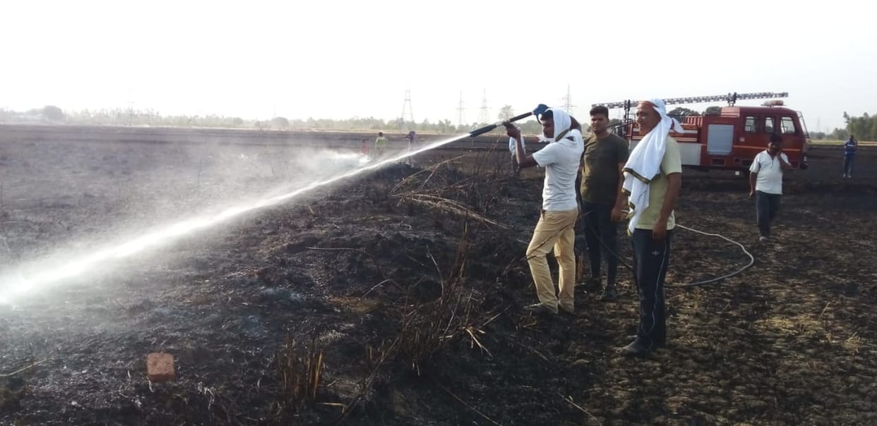 70 bighas of crop burnt due to spark from stars