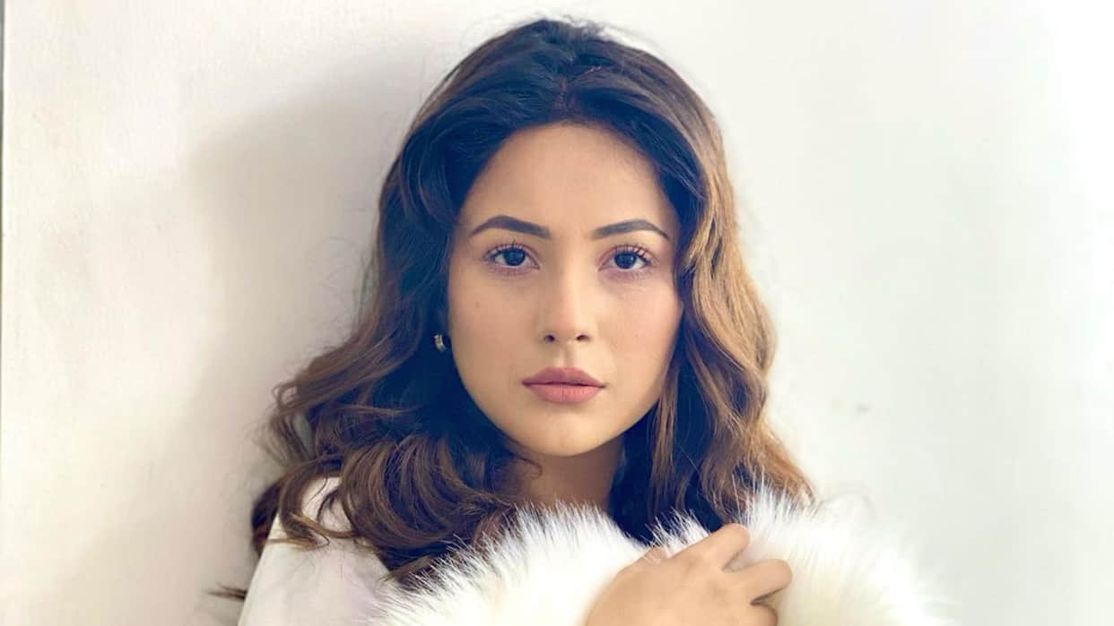 Shehnaaz Gill Brutally Trolled for her comment against beards on world beard day