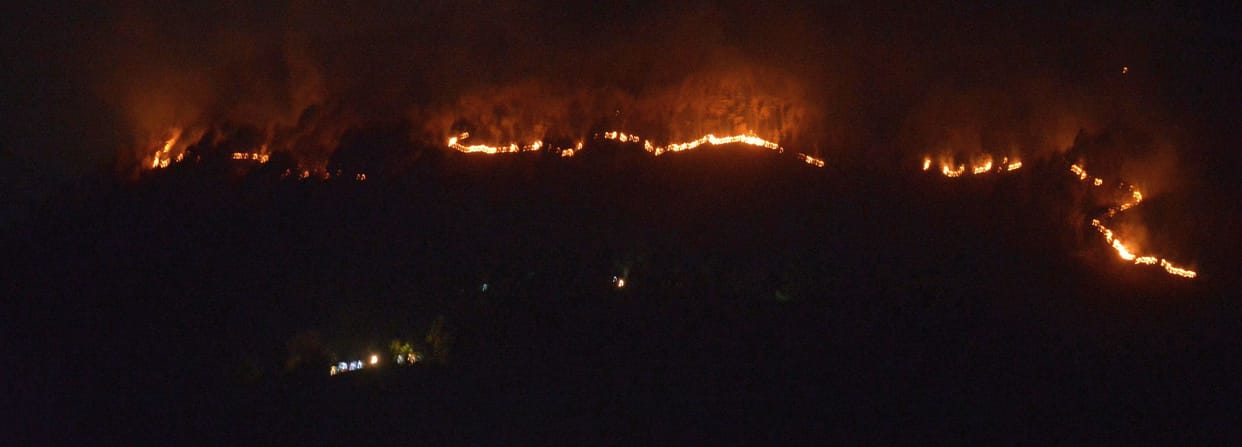 Fire in Forest of Thal