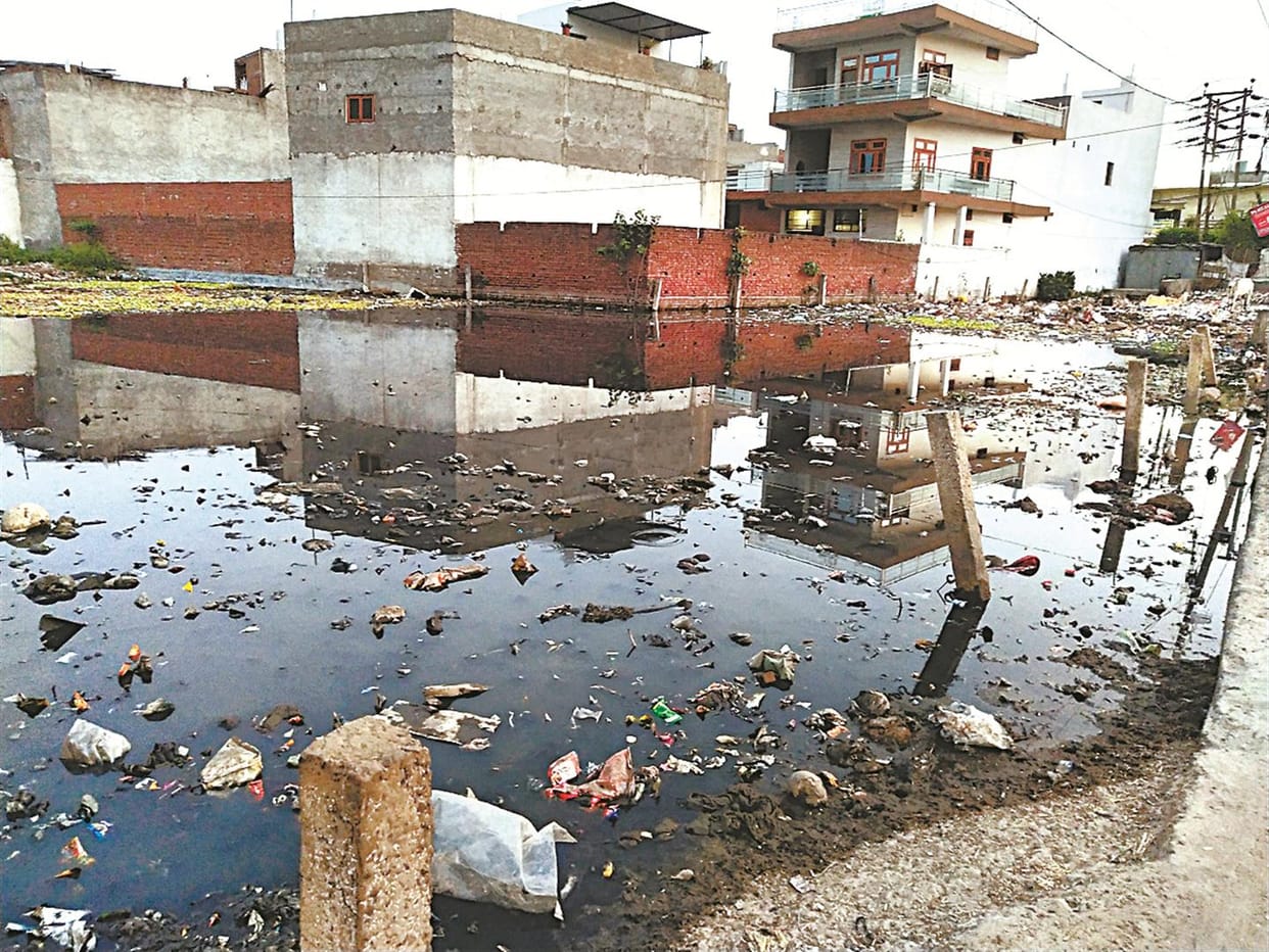 16 areas of the city made for dengue mosquito