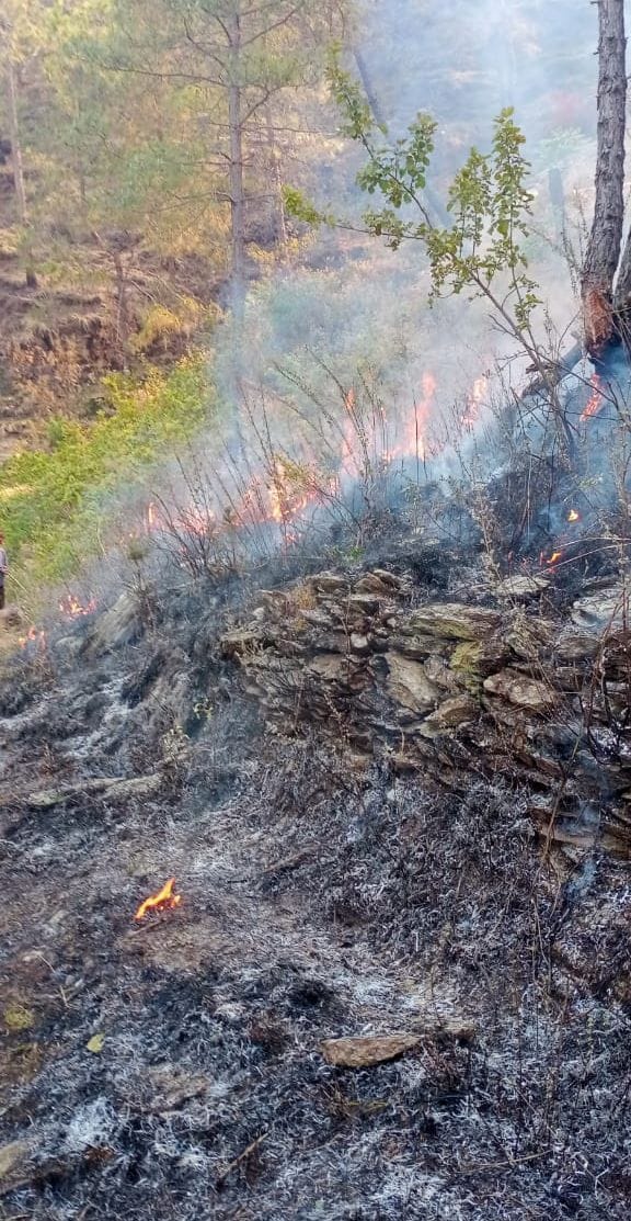 Fire at Almora And Bageshwar Forest