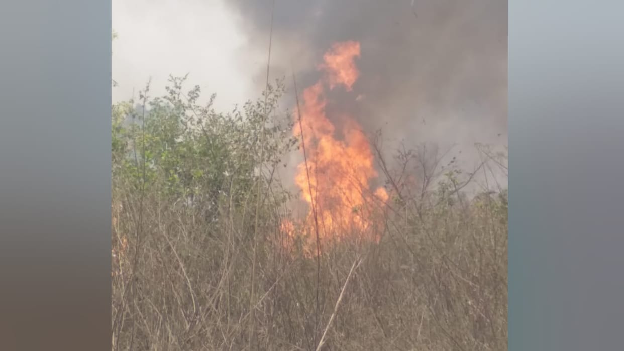 Budaun medical college campus shrubs catches fire fire tenders at spot