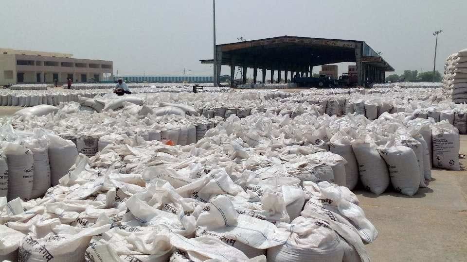 Hafed does not have budget to install CCTV cameras for security of grains kept in godowns