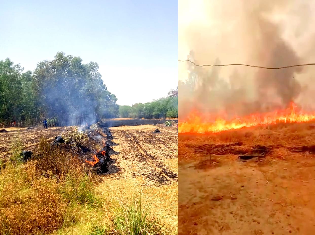 Wheat crop burnt to ashes in 127 bighas in Unnao