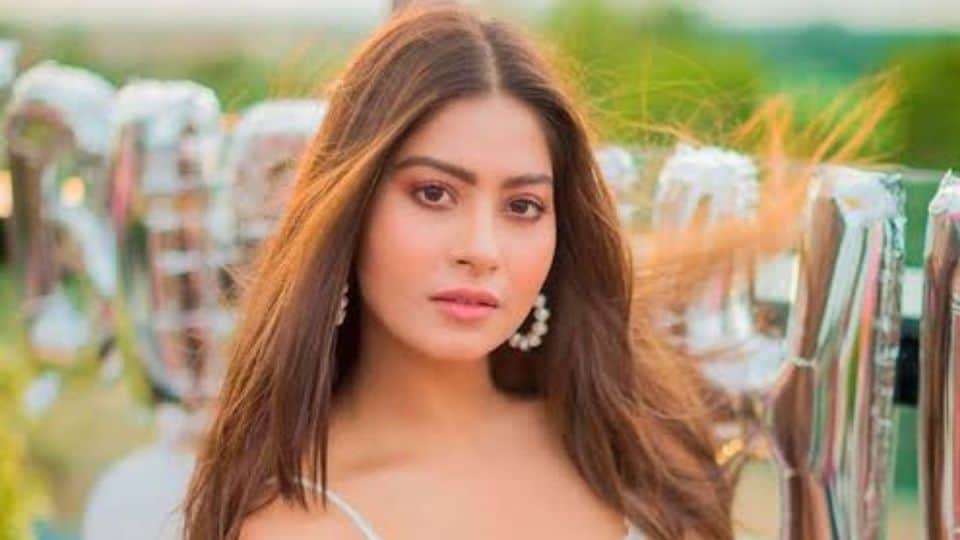 know about actors shehzada Dhami and Krishna Mukherjee of Shubh Shagun tv serial