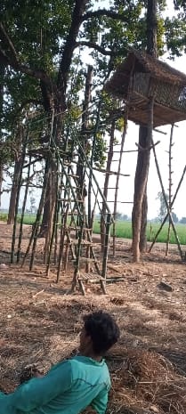 Forest Department is setting up a new watch tower to monitor wildlife