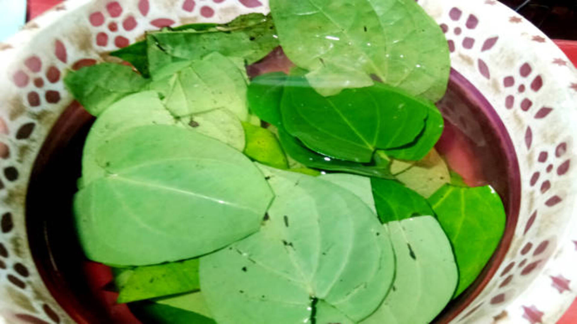 Astrology: Betel Leaves Totka for Luck Will Change Your Luck As soon As Do in Hindi
