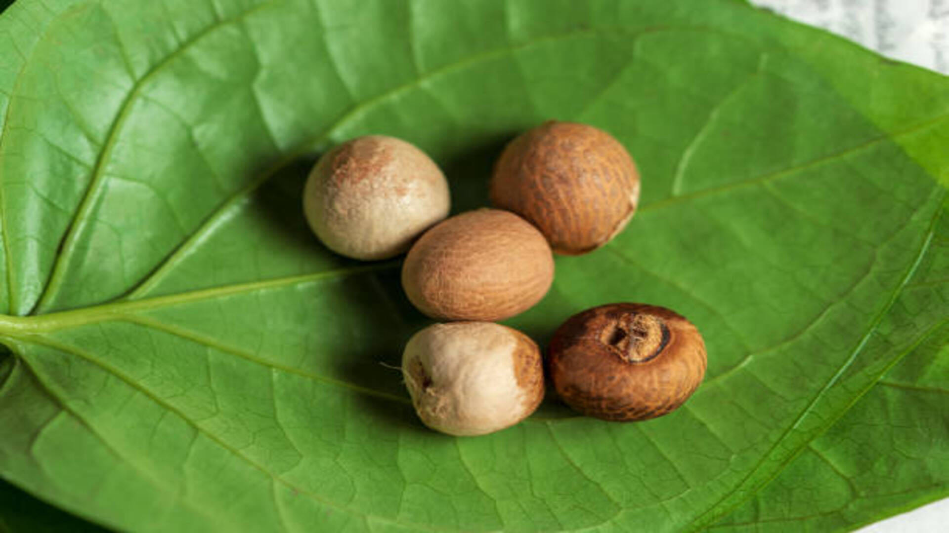 Astrology: Betel Leaves Totka for Luck Will Change Your Luck As soon As Do in Hindi