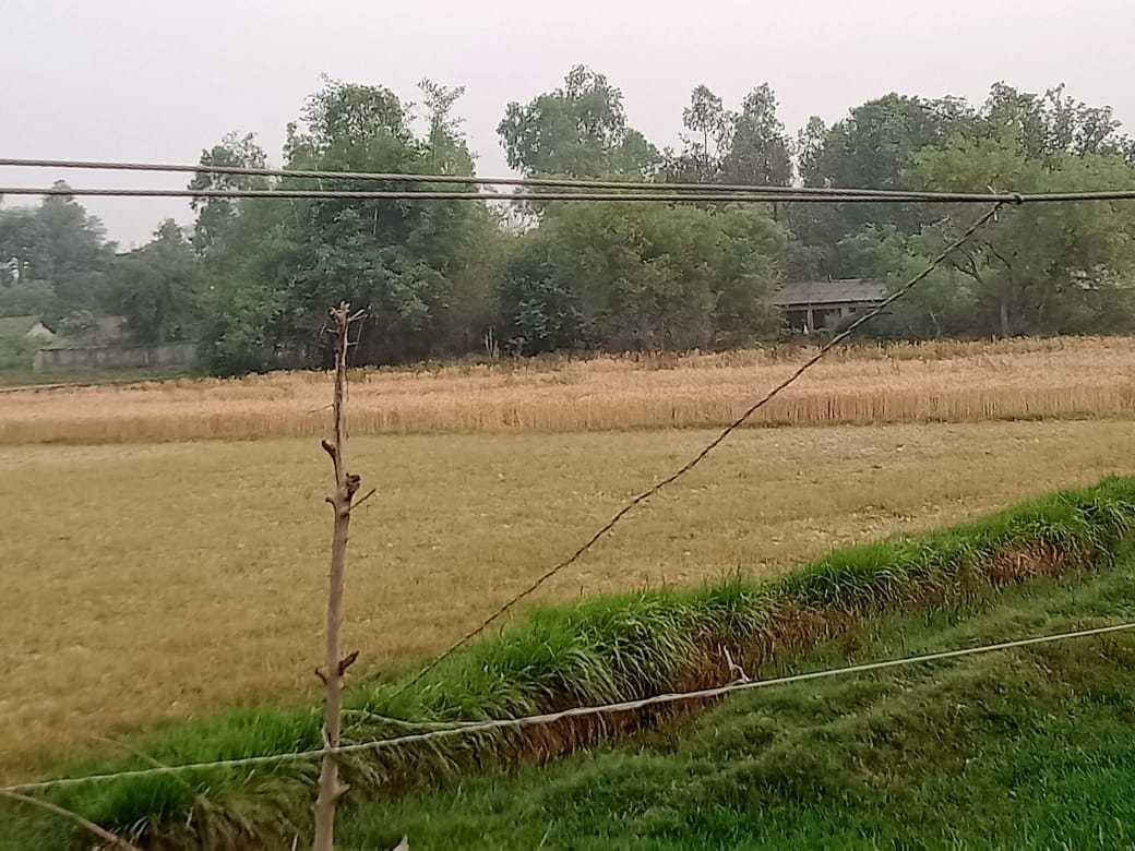 shabby wire stopped with the help of bamboo