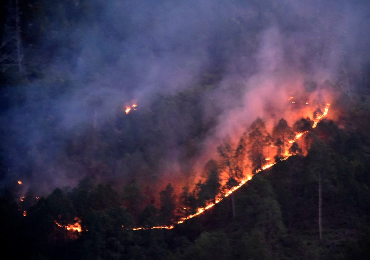 Forests burning in Srinagar and Kirtinagar ranges