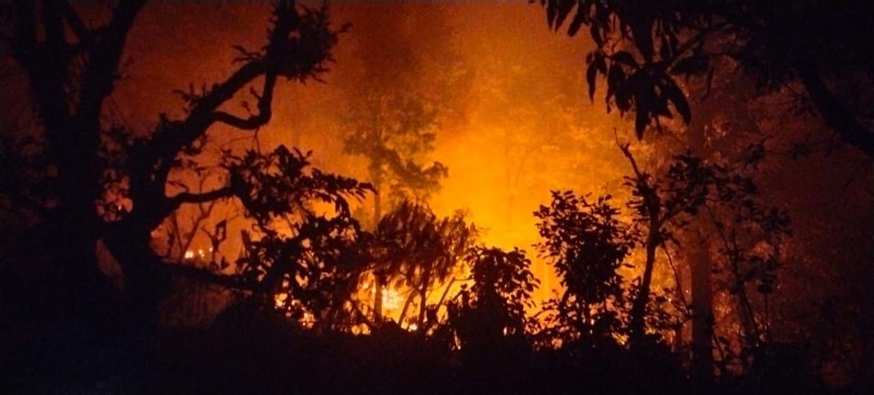 Fire in the forest of Civil Soyam of Dugadda range