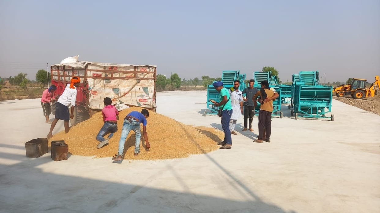 grain market not start
