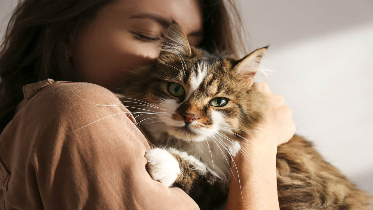 why humans life longer than animals scientists reveal mystery